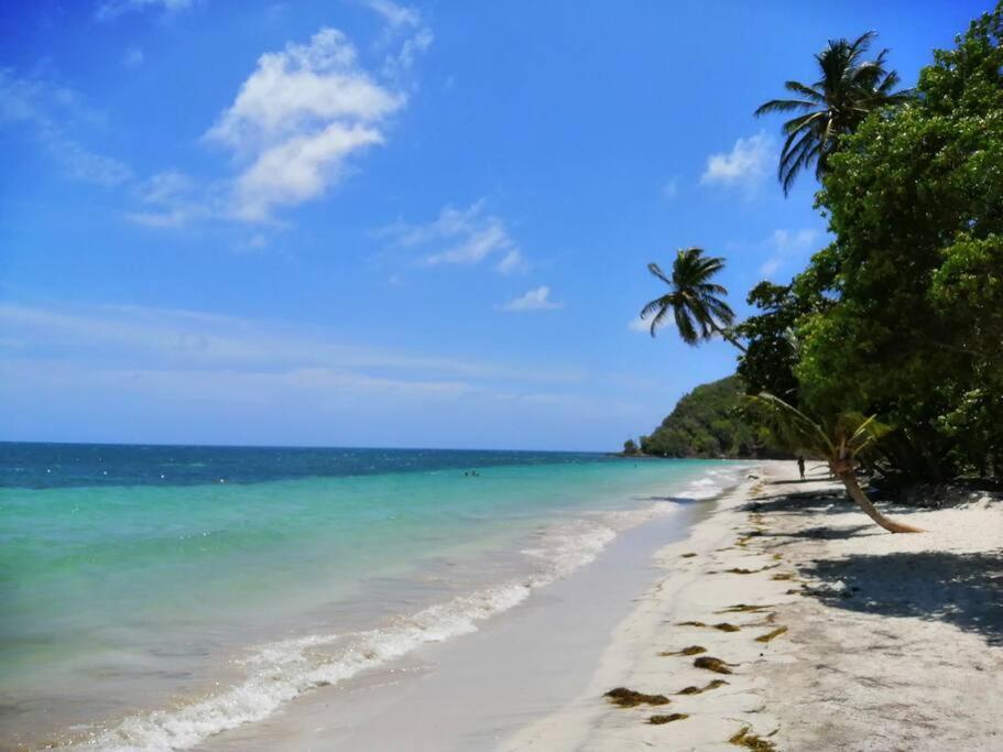 Mi Hermosa - Casa Islena A 70 Metros De La Playa Archibolds Buitenkant foto