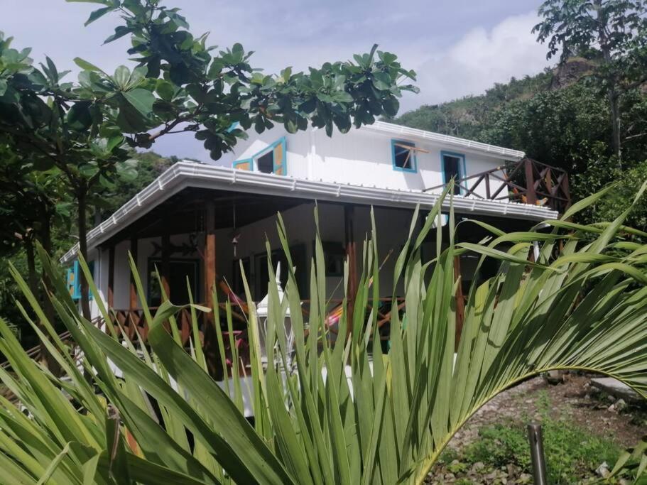 Mi Hermosa - Casa Islena A 70 Metros De La Playa Archibolds Buitenkant foto
