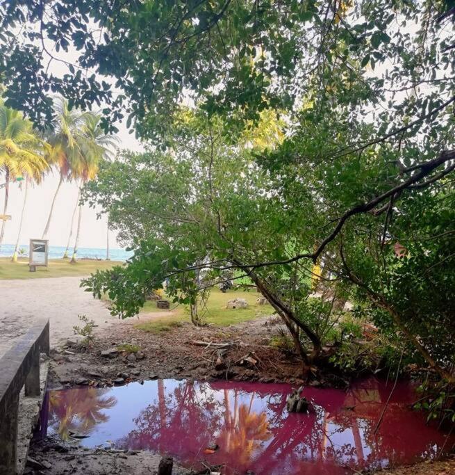 Mi Hermosa - Casa Islena A 70 Metros De La Playa Archibolds Buitenkant foto